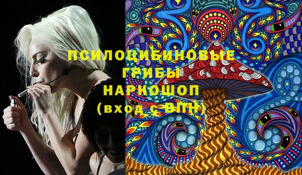 дживик Армянск