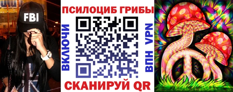где купить наркотик  Сочи  Псилоцибиновые грибы Cubensis 