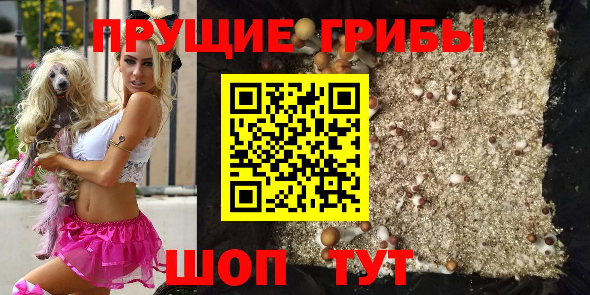 Псилоцибиновые грибы Magic Shrooms  Вход с VPN  Галлюциногенные грибы Cubensis  Сочи 